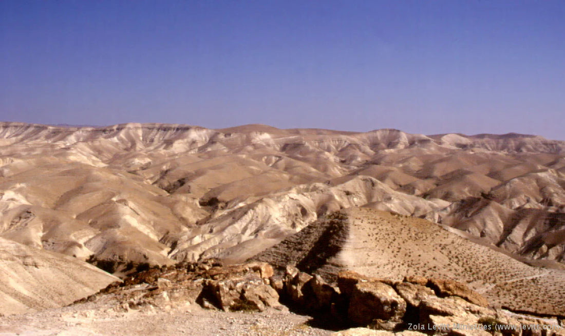 The Judean Wilderness