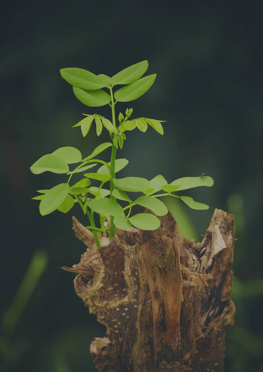 How can trials lead us to spiritual growth?