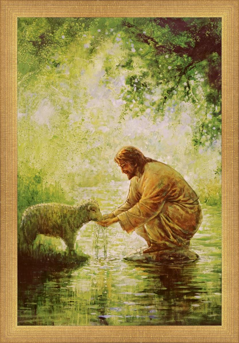 Gentle Shepherd