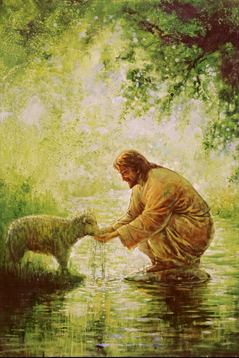 Gentle Shepherd