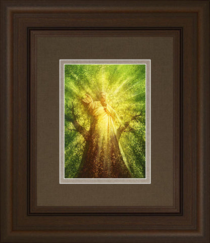 Tree of Life by Yongsung Kim