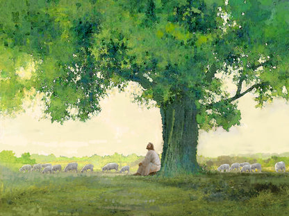 Morning Solace by Yongsung Kim