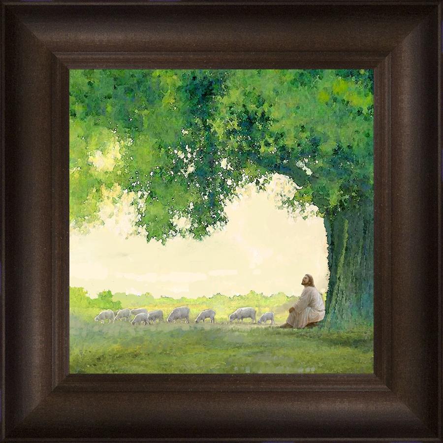 Morning Solace by Yongsung Kim